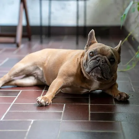 アパート Mit Traumhaftem Seeblick