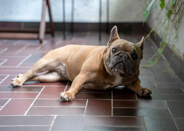 Апартаменты Mit Traumhaftem Seeblick